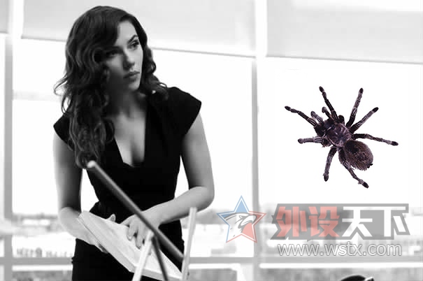 ���趯��Ƿ���ƪ����Щ�Զ��������Ĳ�Ʒ����