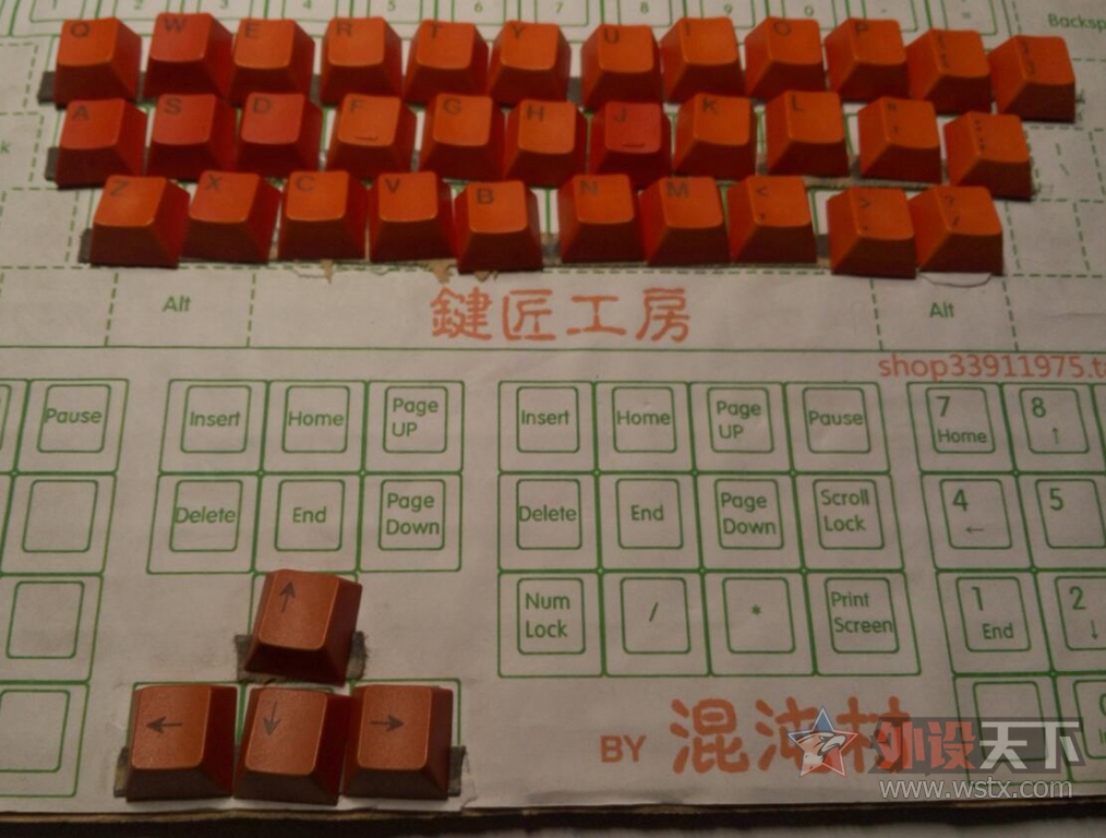 ���������峤�Ľ�Ⱦ��ñ ԭ���߶�