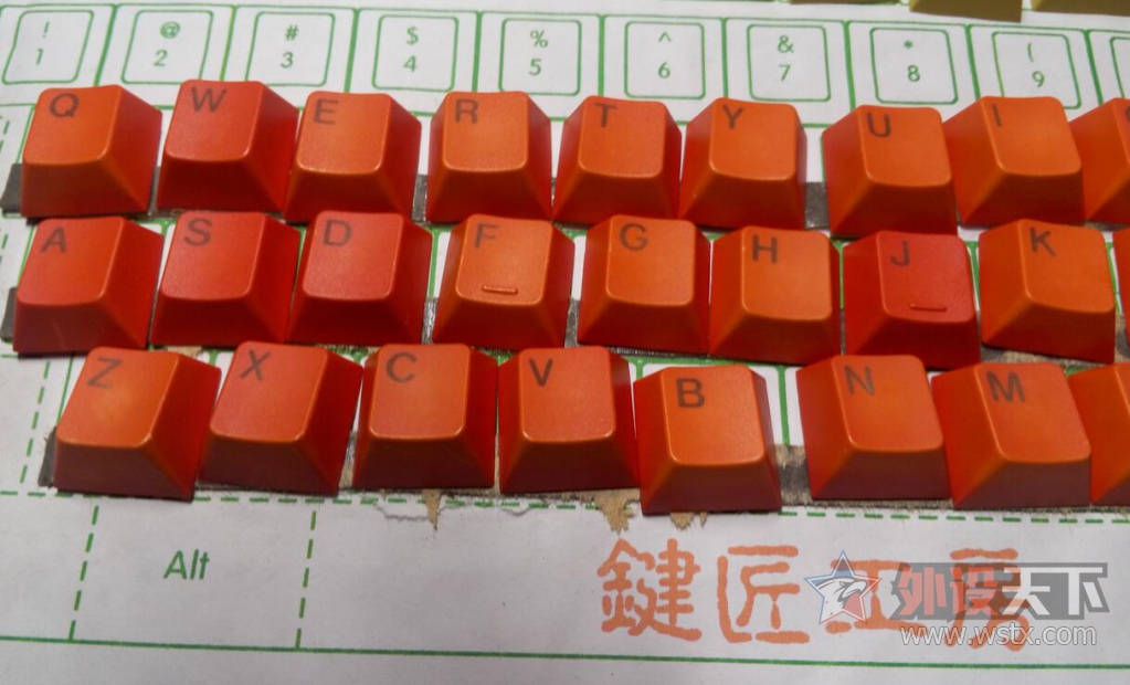 ���������峤�Ľ�Ⱦ��ñ ԭ���߶�