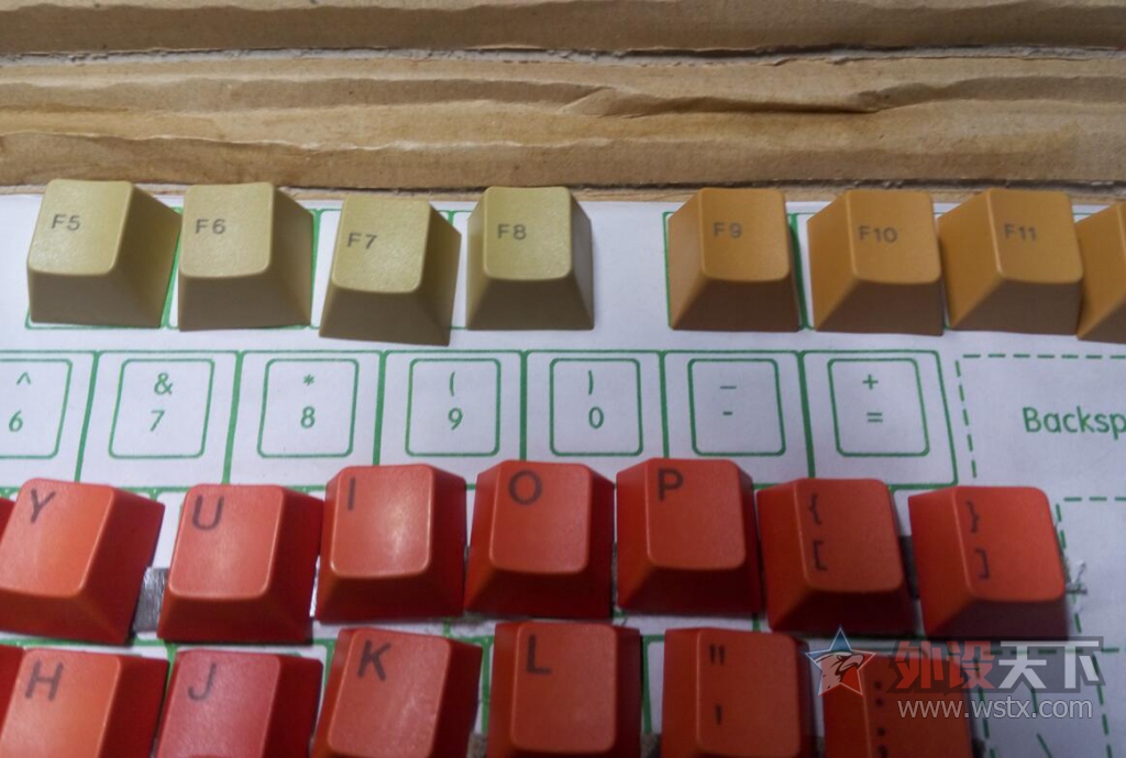 ���������峤�Ľ�Ⱦ��ñ ԭ���߶�