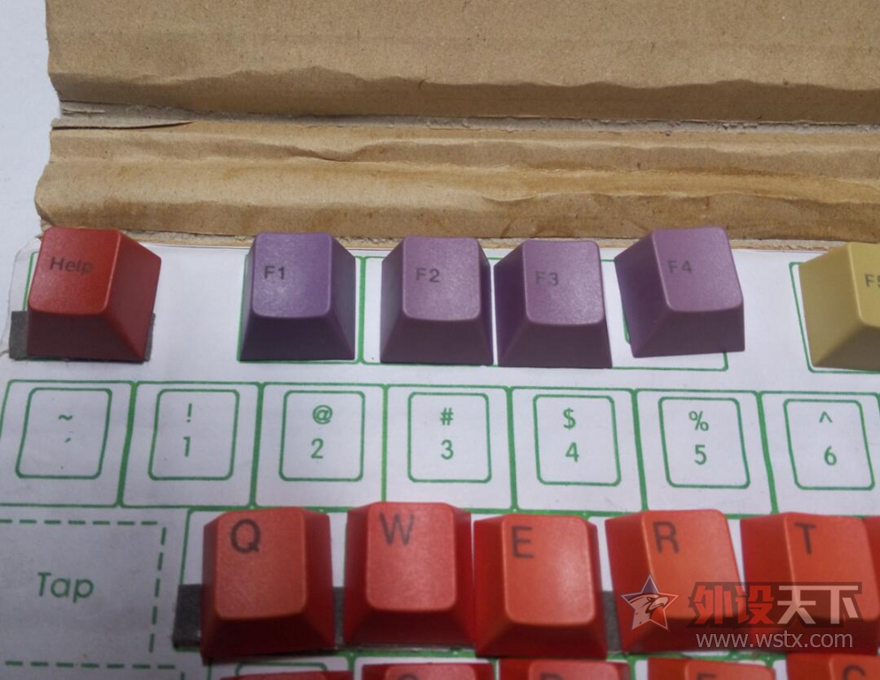 ���������峤�Ľ�Ⱦ��ñ ԭ���߶�