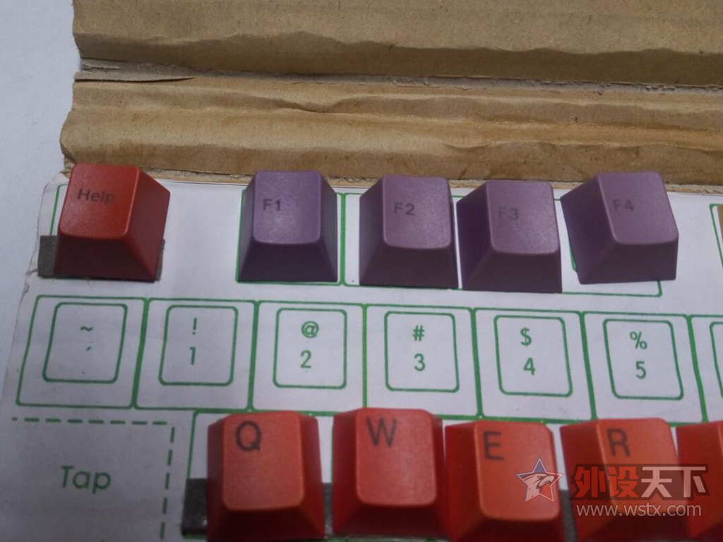 ���������峤�Ľ�Ⱦ��ñ ԭ���߶�