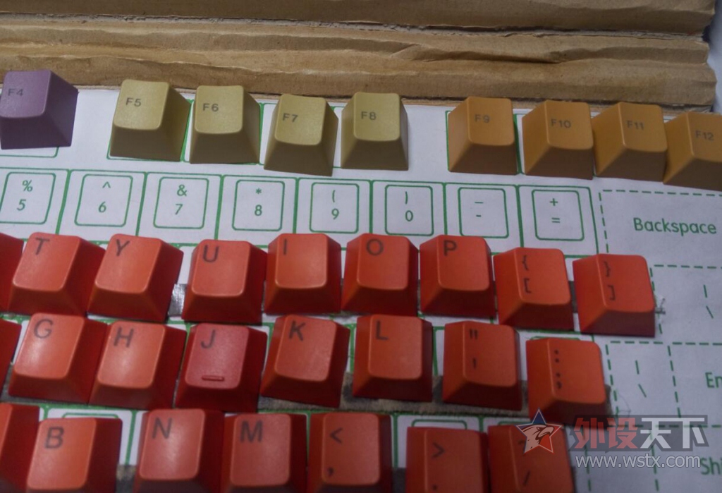 ���������峤�Ľ�Ⱦ��ñ ԭ���߶�