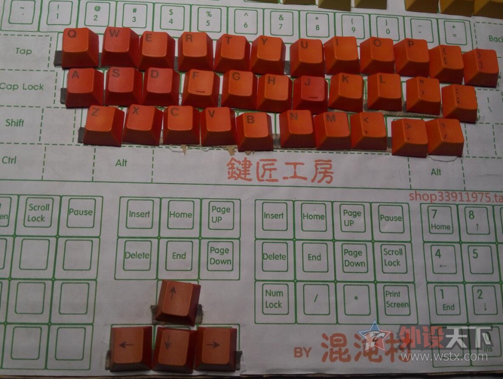 ���������峤�Ľ�Ⱦ��ñ ԭ���߶�