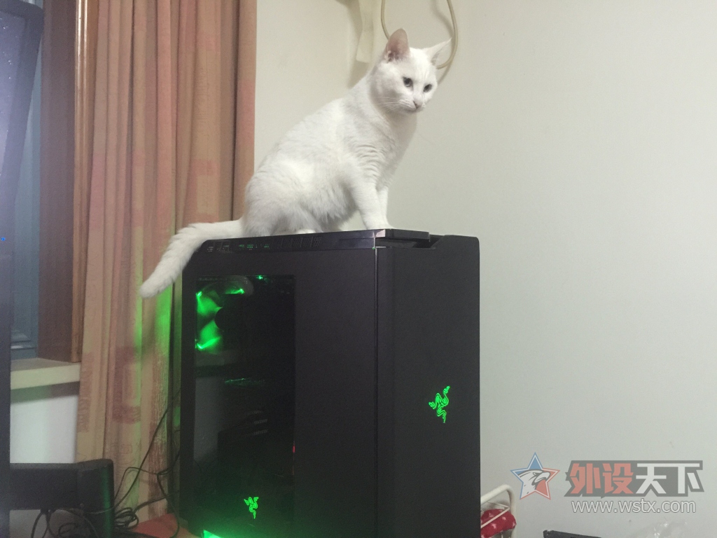 ������ά̹�������⡪���ҵ�è���ɰ�