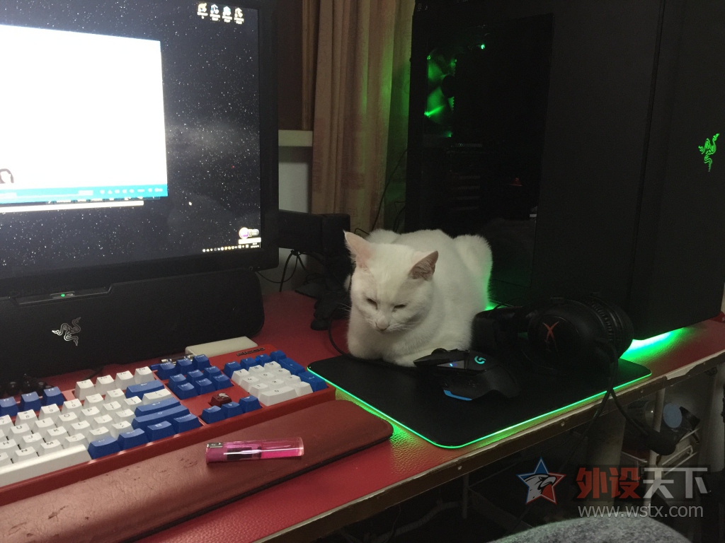 ������ά̹�������⡪���ҵ�è���ɰ�