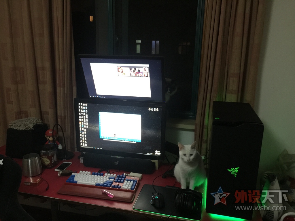 ������ά̹�������⡪���ҵ�è���ɰ�