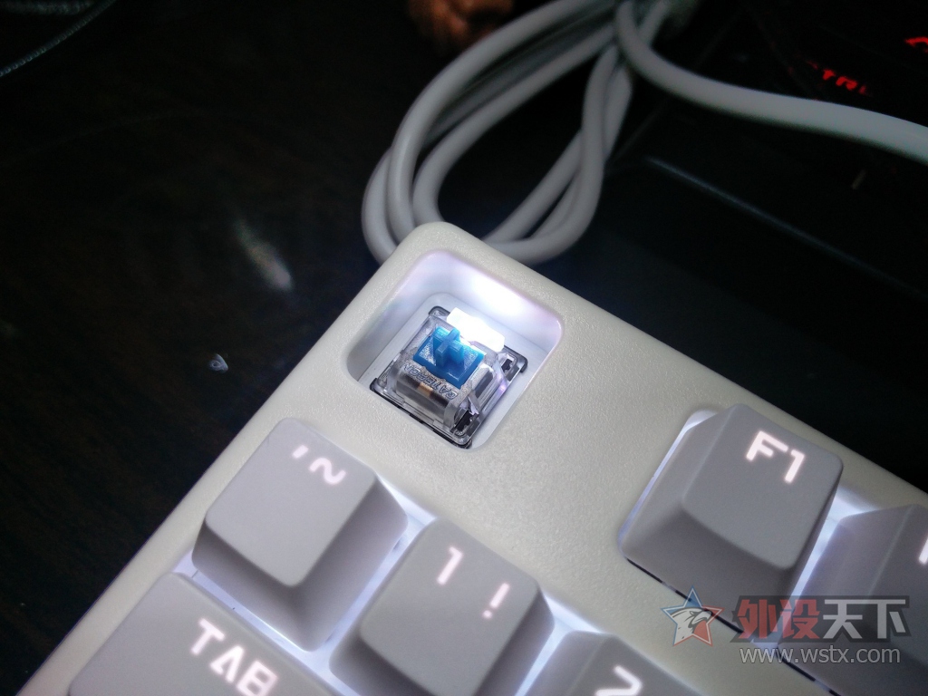 �չ�E300 RGB��⼰�չ�ʺ��ñͼƬ���� 300Ԫ��λ����һʵ������