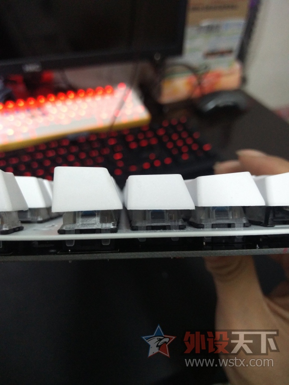 �չ�E300 RGB��⼰�չ�ʺ��ñͼƬ���� 300Ԫ��λ����һʵ������