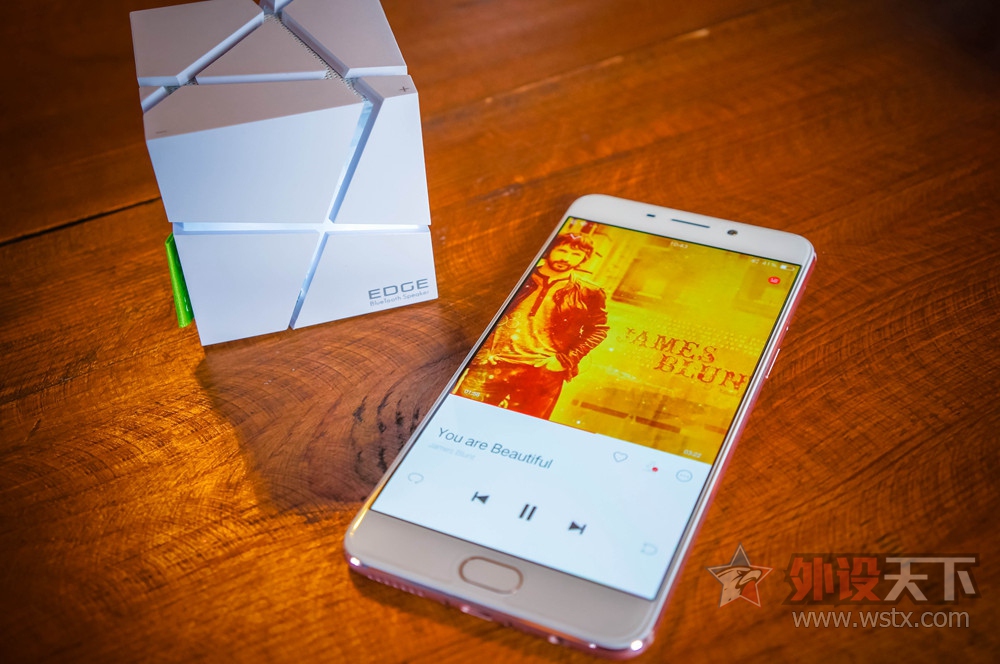 ȼ��������Ȥ��LOFREE��쳷�â��ֹ����������