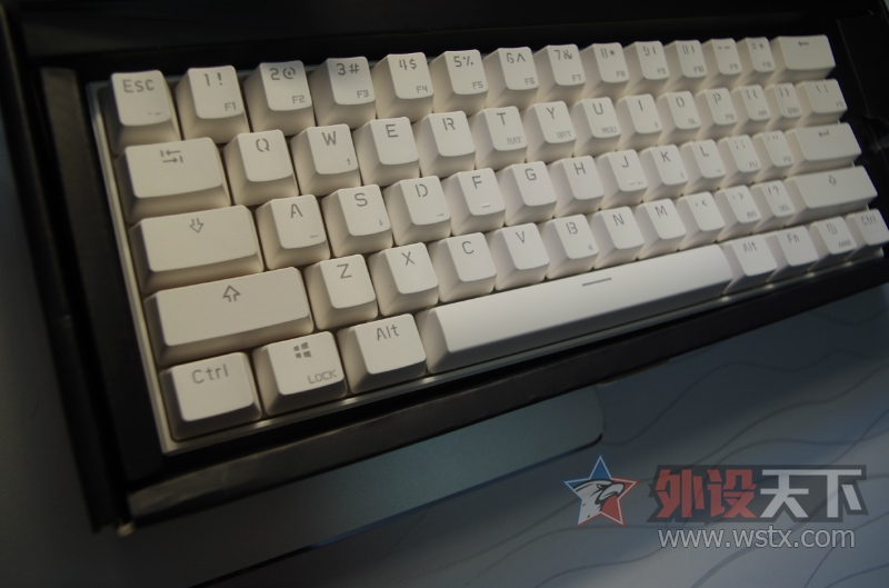 204333qrvv17vz4tvxatr5.jpg