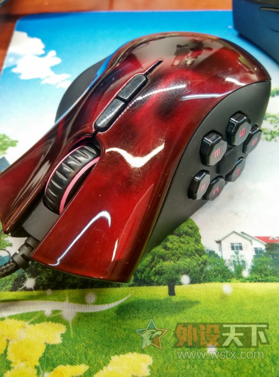 ���ӱ���ɽ����٤������â��