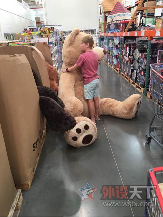 ������Ƽ������޶���