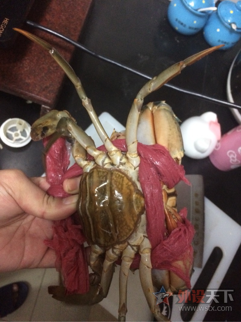��Са���������ͽ�����з