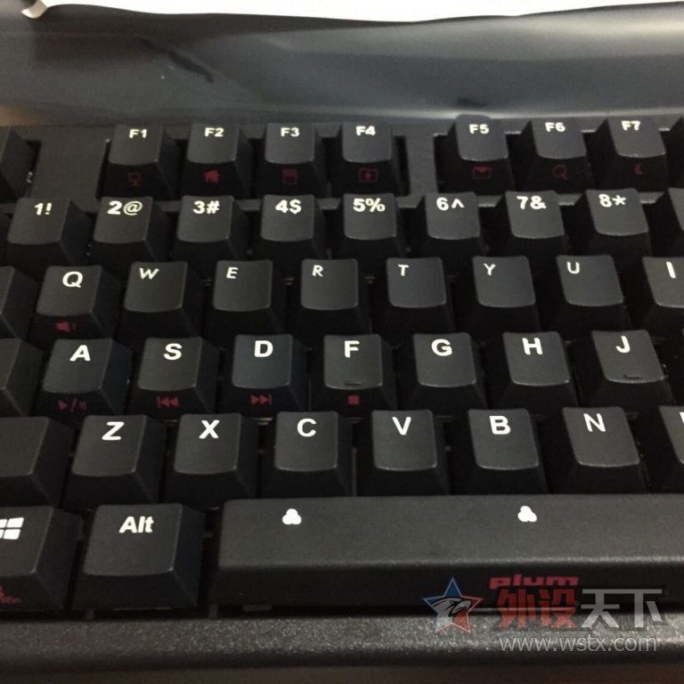 �͵����ݻ�����ǳ��A��Plum87Gateron�����е���̣���������