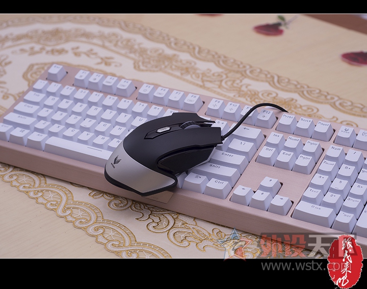 �װ�V310������ ���ڹ��