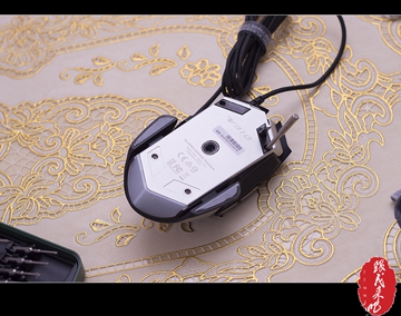 �װ�V310������ ���ڹ��