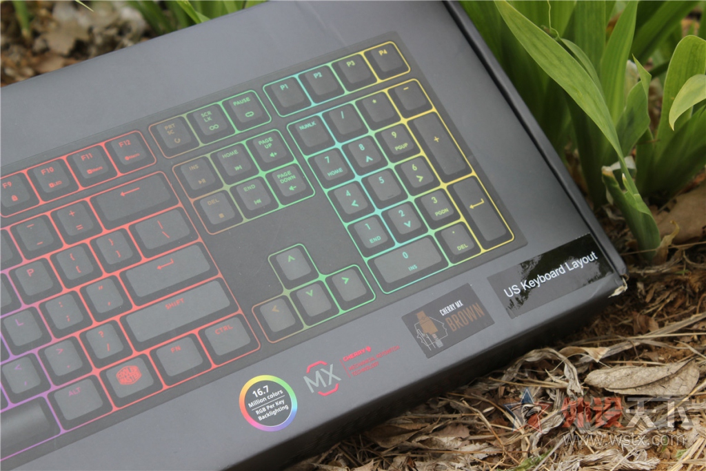 ������������+��������¼ָ���������������������ǹMK Pro RGB����