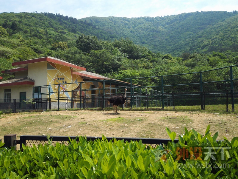����һ�μ�+���ض���԰�˼��ˡ�