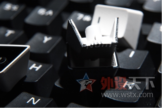 GANSS�������ڡ��Ƽ�PBT��ɫ����͸��ñ��������PBT���ġ�