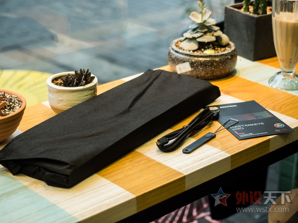 �����ӡ���ʦ���ǳ�������Masterkeys Pro L����