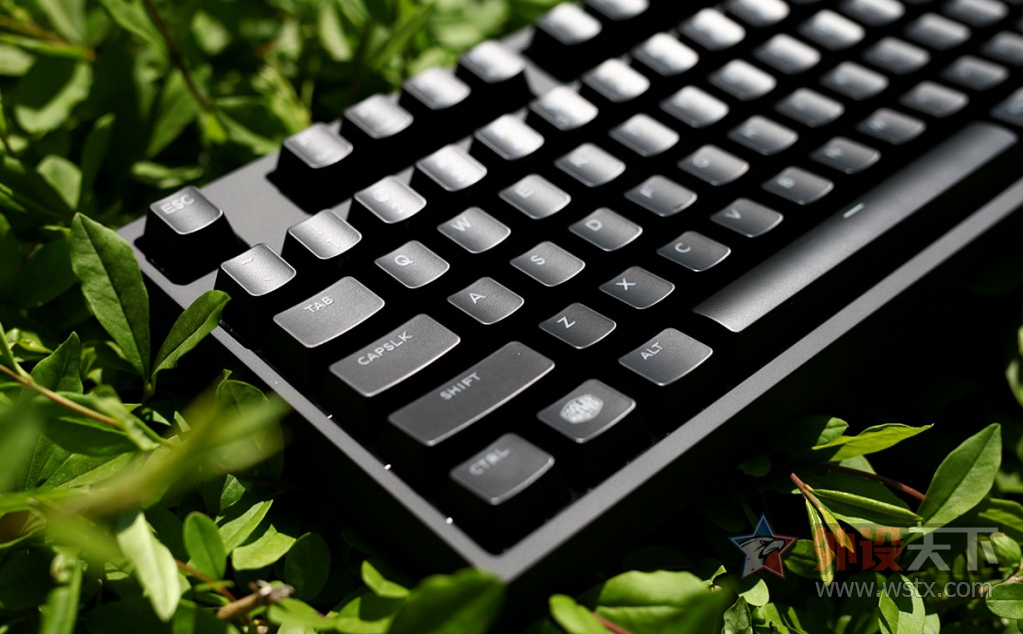 --Masterkeys Pro S RGB