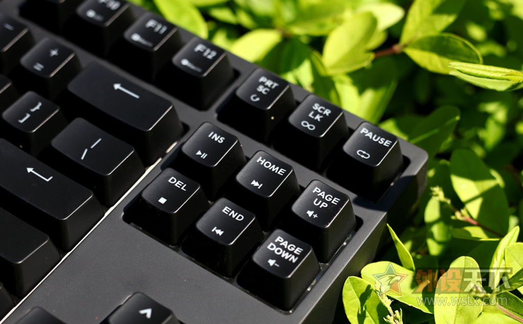 --Masterkeys Pro S RGB