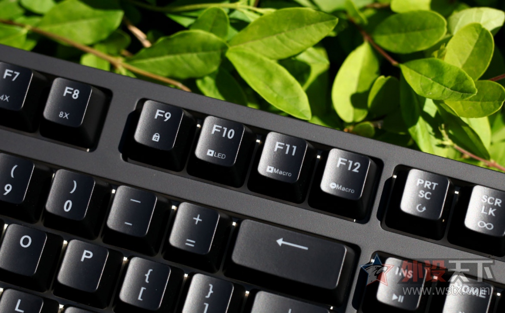 --Masterkeys Pro S RGB
