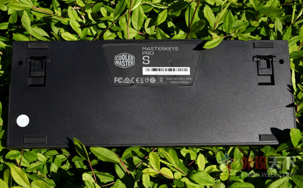 --Masterkeys Pro S RGB