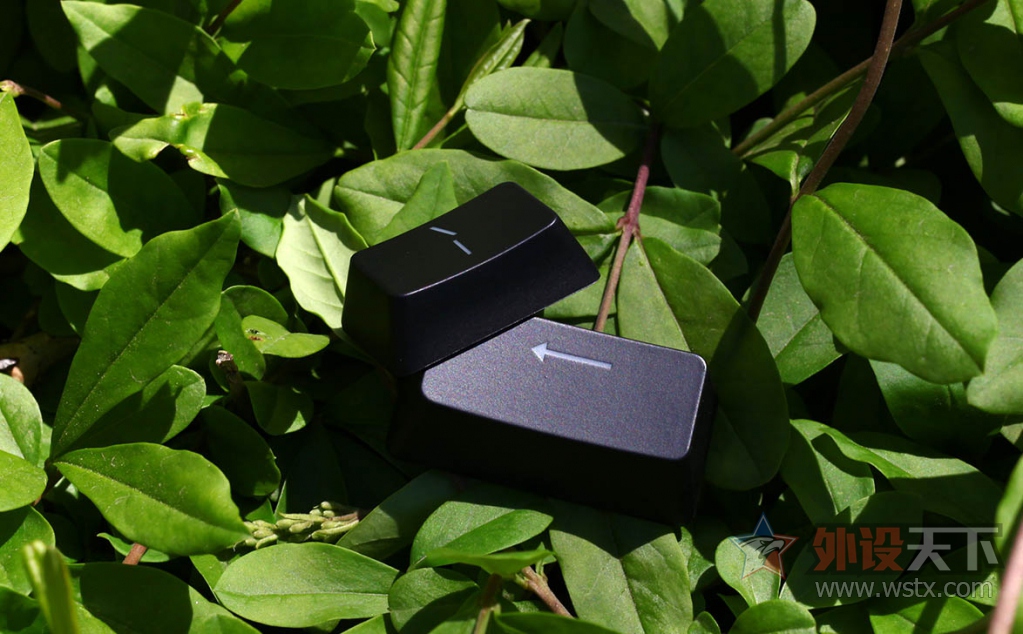 --Masterkeys Pro S RGB