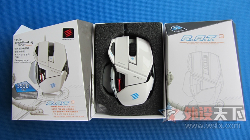 [���ݡ���������һ���