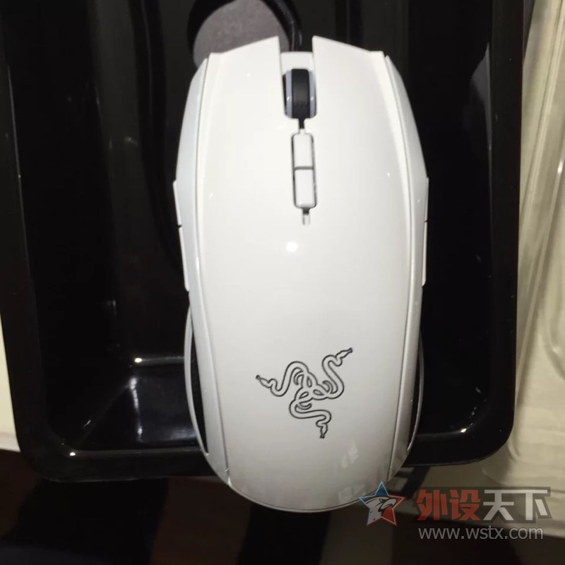 ���㽭��̫�ʻ��߰�ɫ270���ʣ�����g303 195����