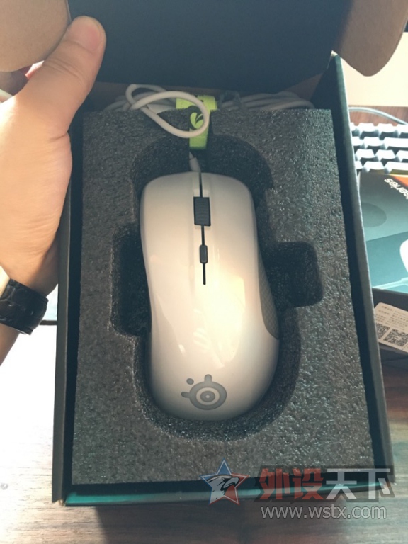 [����]Filco ����ñ,rival 300 �׵�