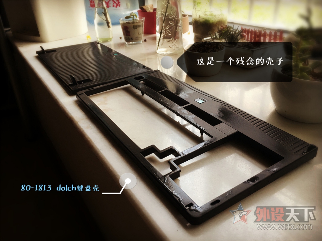 �ҵĻҺ���� -sky dolch����