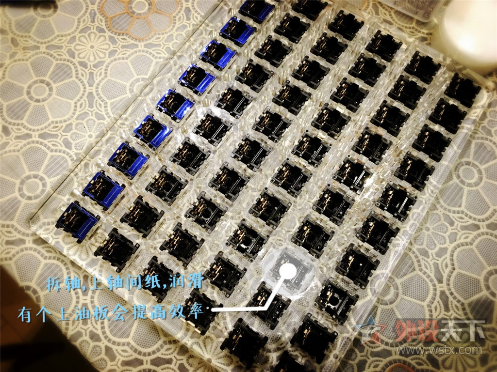 �ҵĻҺ���� -sky dolch����