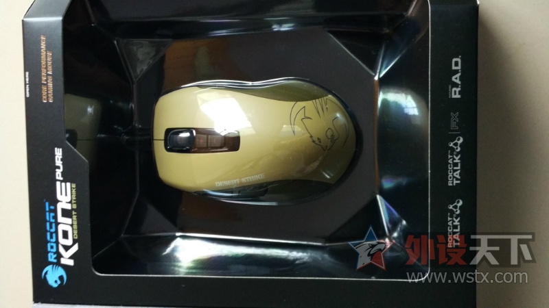 �����ϡ��ѳ������������