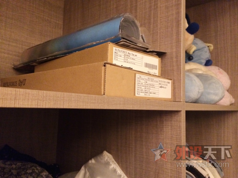 ����������Realforce 87U 55G ��ɫ���̼���װ��ɫ��ñ