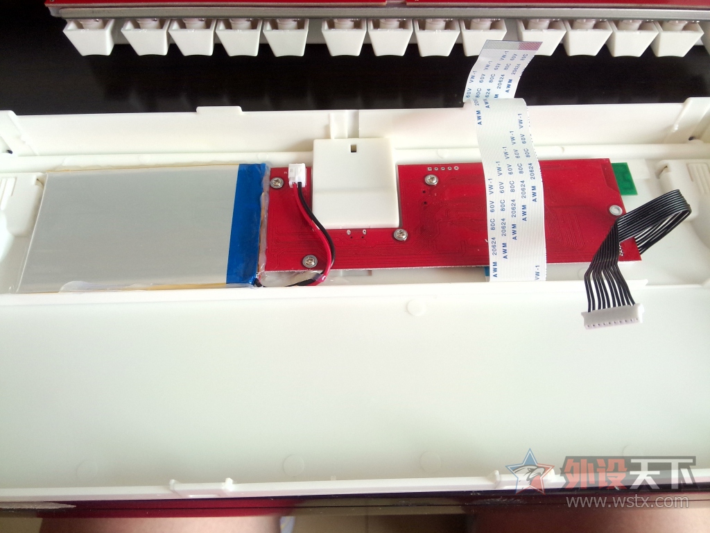 A��---����֥������35gf������RGB���̵��ֲ�