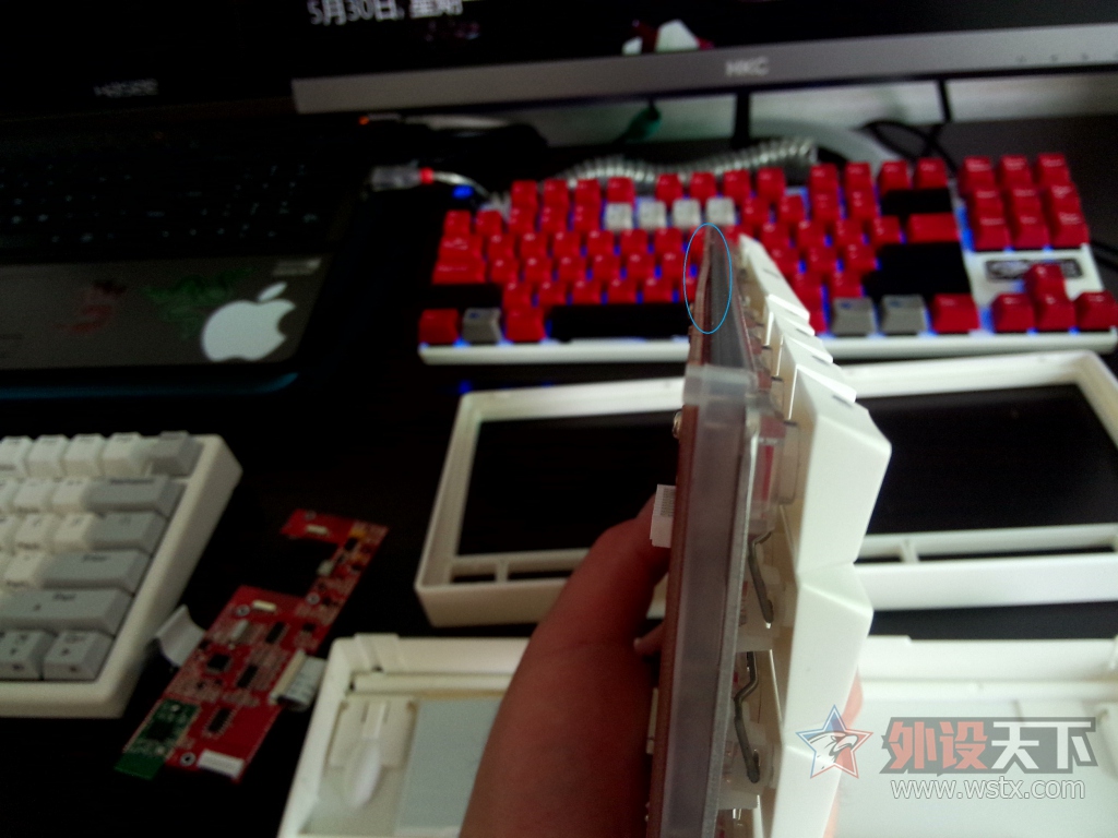 A��---����֥������35gf������RGB���̵��ֲ�