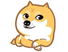 ������COMPUTEX̨�����ʵ���չ֮��