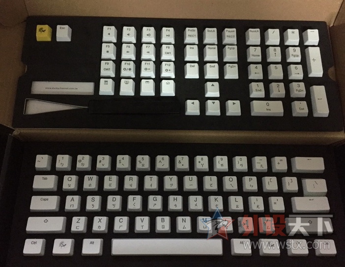 [�Ͼ�] Ducky ħ��Ѽ108��ɫ͸�ⱳ���ָ���ñ