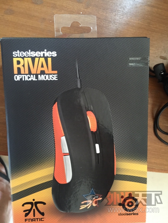 �����ڡ�fnatic RIVAL