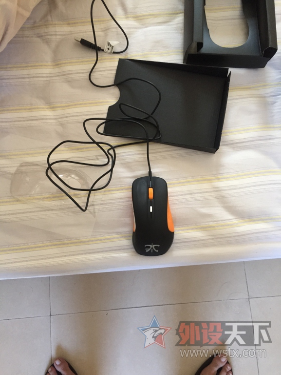 �����ڡ�fnatic RIVAL