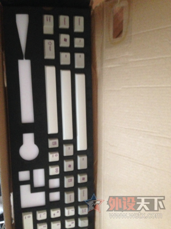 [�Ϻ�] ���� JT�ϰ� ��ɫ �˲� �Ұ��� ������