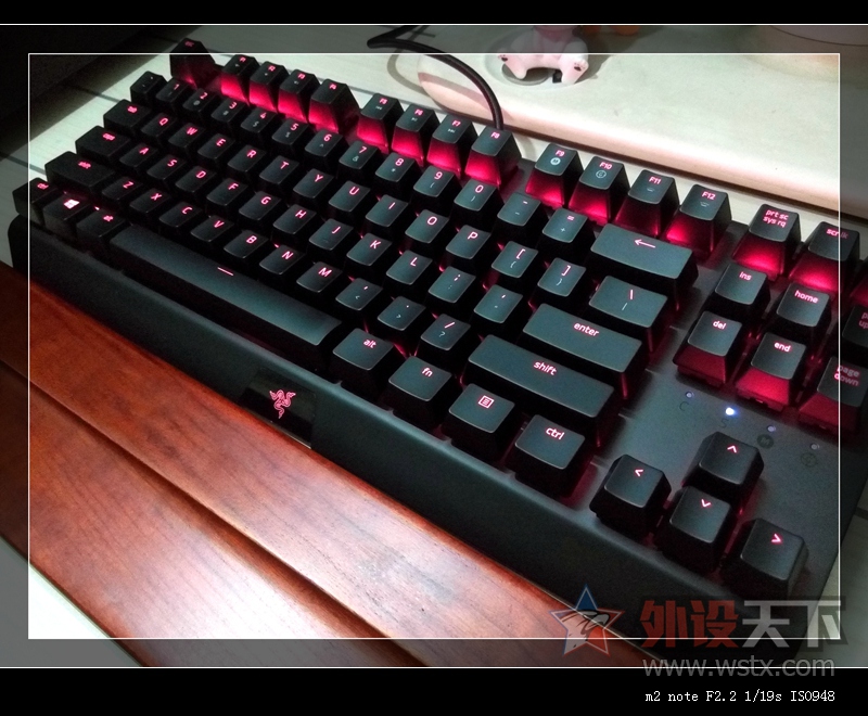 ٸѸ---ԺҹBLACKWIDOW XTE CHEOMA Ϲ