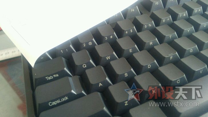 �����ա������ۡ�Leopold��̲��ɫ104��е����