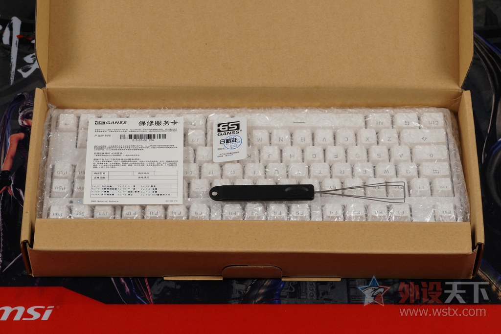Ganss GS87LED���� �°�Cherry���ᡢ�°�PBT��ñ