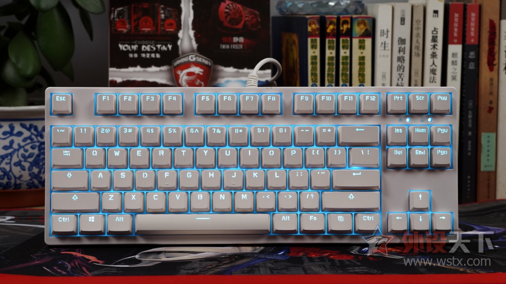 Ganss GS87LED���� �°�Cherry���ᡢ�°�PBT��ñ
