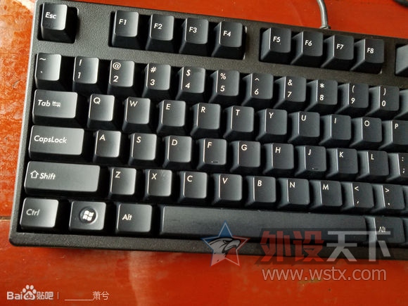 ���Ϻ���FILCO 87 �� �����ѳ�