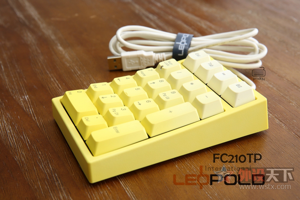 7ٻ  Leopold FC210tp ɫȾͼ